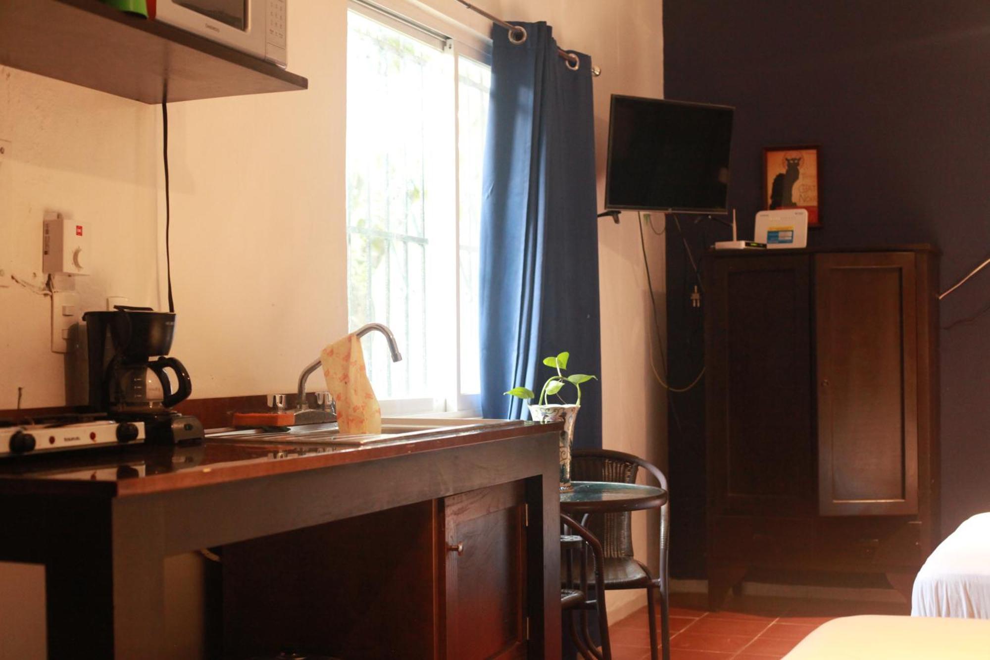 Bea Rooms And Studios 科苏梅尔 外观 照片
