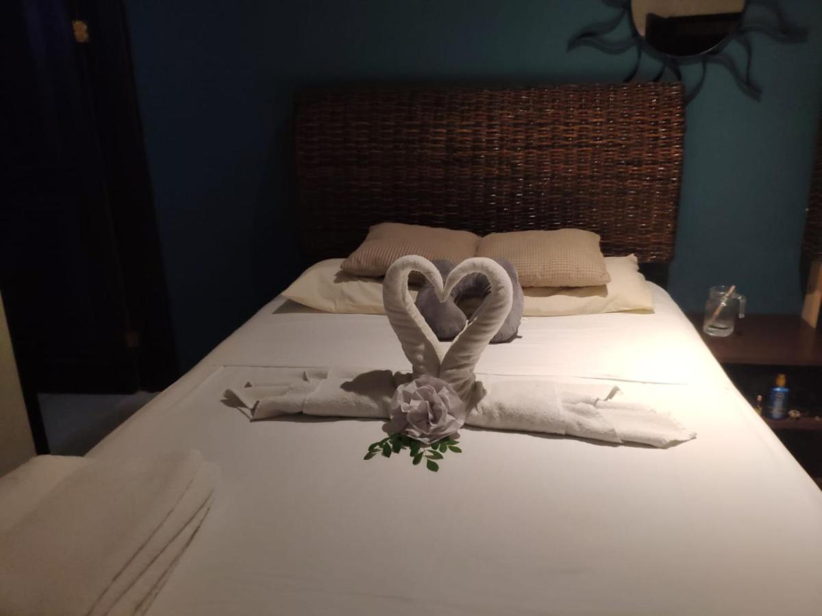 Bea Rooms And Studios 科苏梅尔 外观 照片