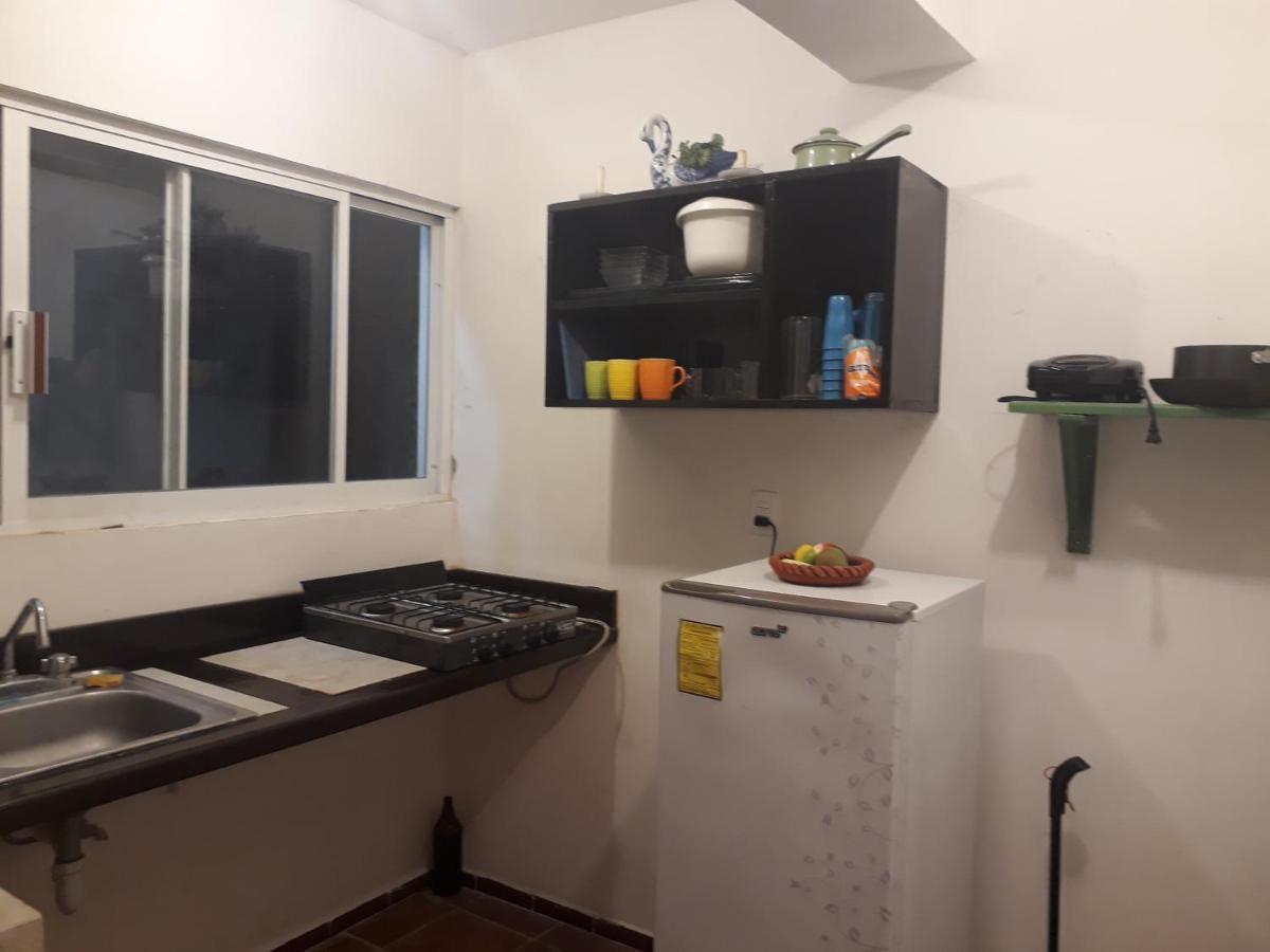 Bea Rooms And Studios 科苏梅尔 外观 照片