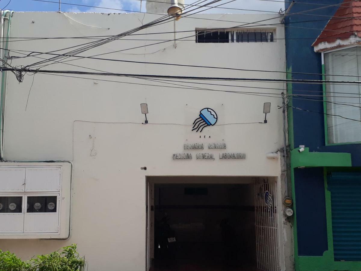 Bea Rooms And Studios 科苏梅尔 外观 照片